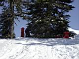 sledding-mount-baker-18