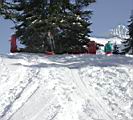 sledding-mount-baker-19