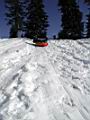 sledding-mount-baker-20