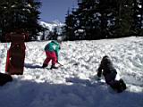 sledding-mount-baker-21