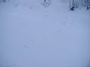 snow-wheeling-08.jpg