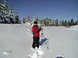 snow-wheeling-015