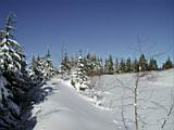 snow-wheeling-019