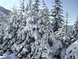 snow-wheeling-024