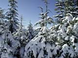 snow-wheeling-025