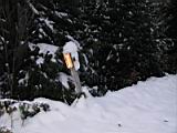 snow-wheeling-131