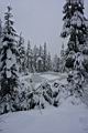 snow-wheeling-19
