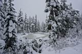 snow-wheeling-20