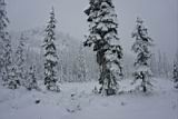 snow-wheeling-25