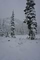 snow-wheeling-26