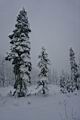 snow-wheeling-27