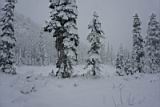 snow-wheeling-28
